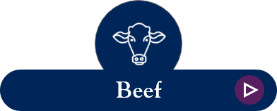 Btn-Beef